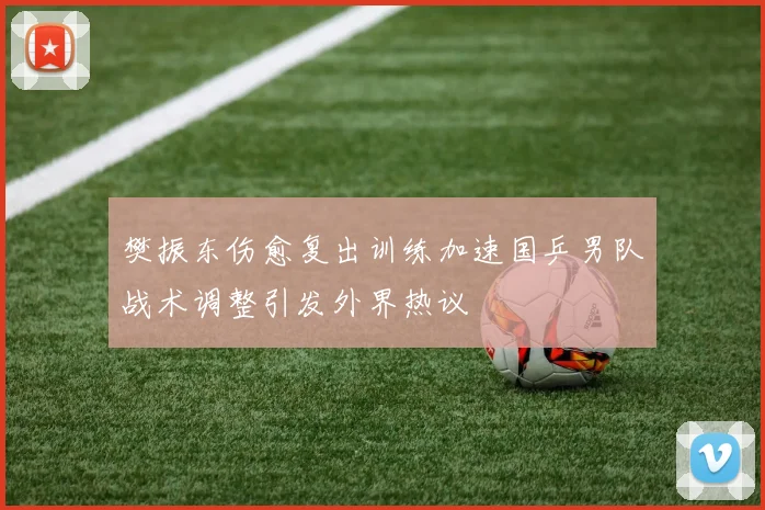 樊振东伤愈复出训练加速国乒男队战术调整引发外界热议